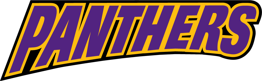 Northern Iowa Panthers 2002-2014 Wordmark Logo v4 iron on transfers for T-shirts